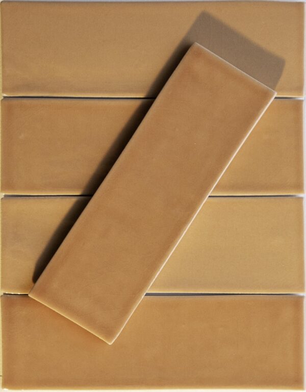 Tantalize Tickle My Fancy 2.5X8 Porcelain Tile 2