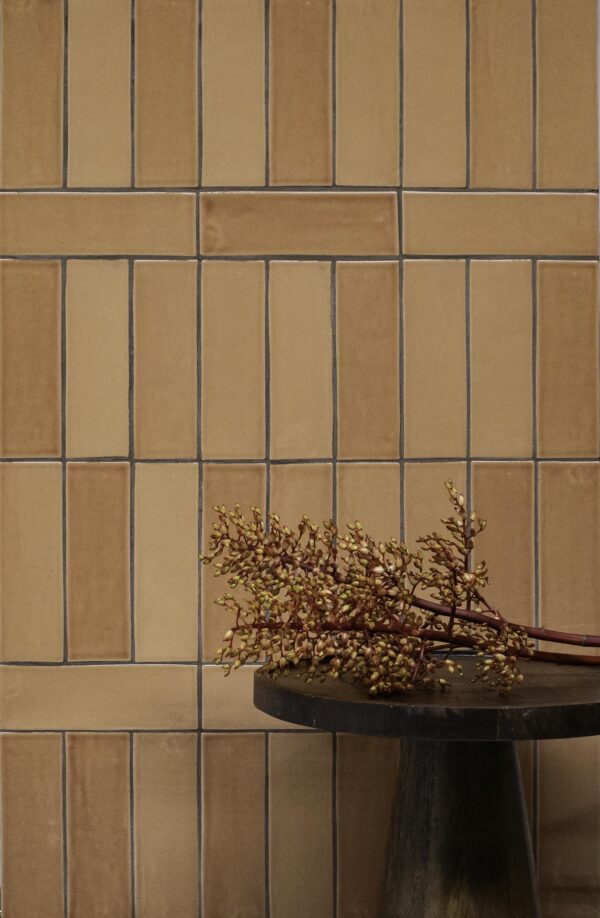 Tantalize Tickle My Fancy 2.5X8 Porcelain Tile 1