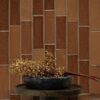 Tantalize Hot To Trot Pink 2.5x8 Ceramic Tile 2